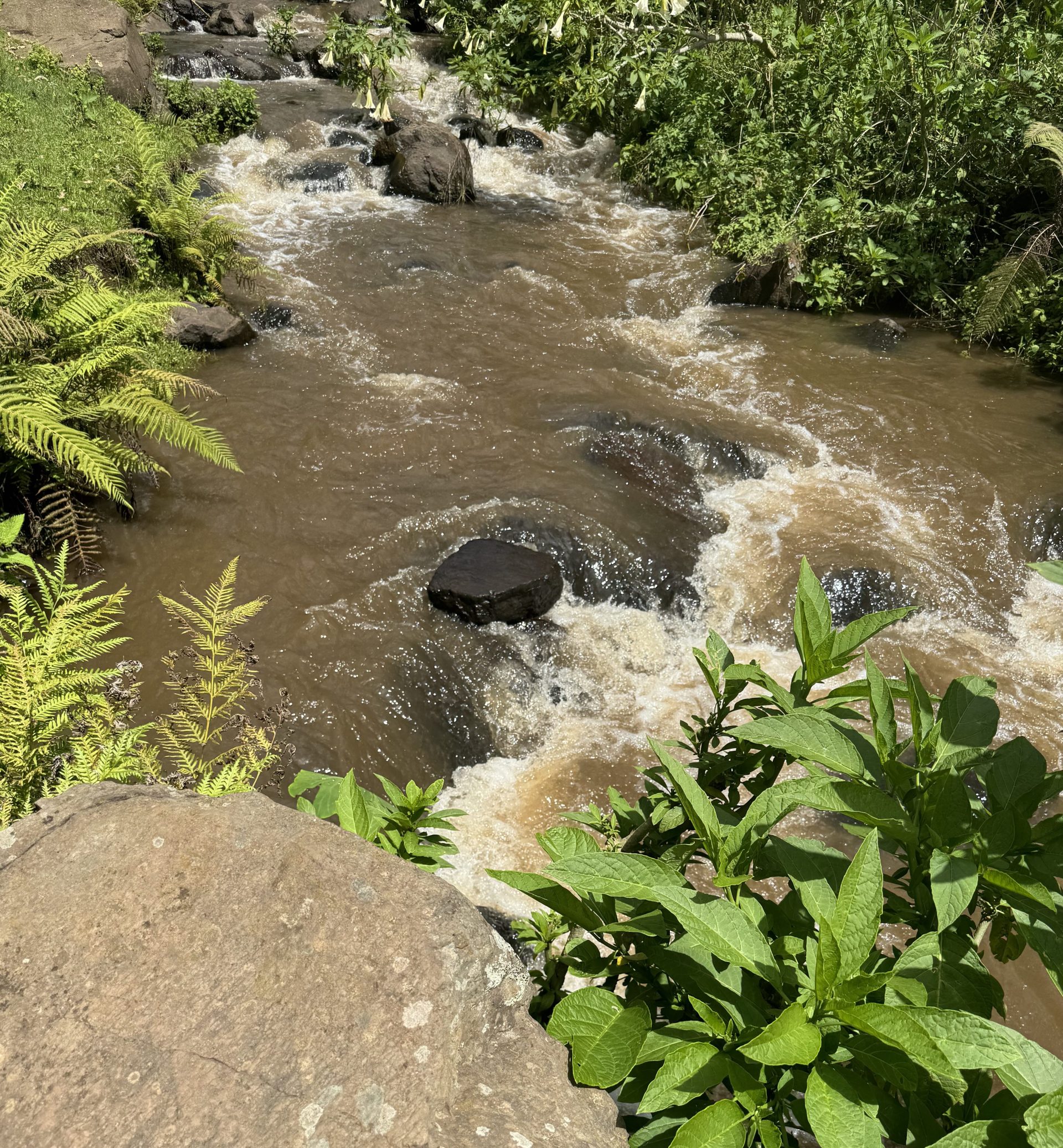 🇿🇼 Design a business model for and launch a venture that makes low-cost machine-tools for dredging silt and sand to rehabilitate rivers