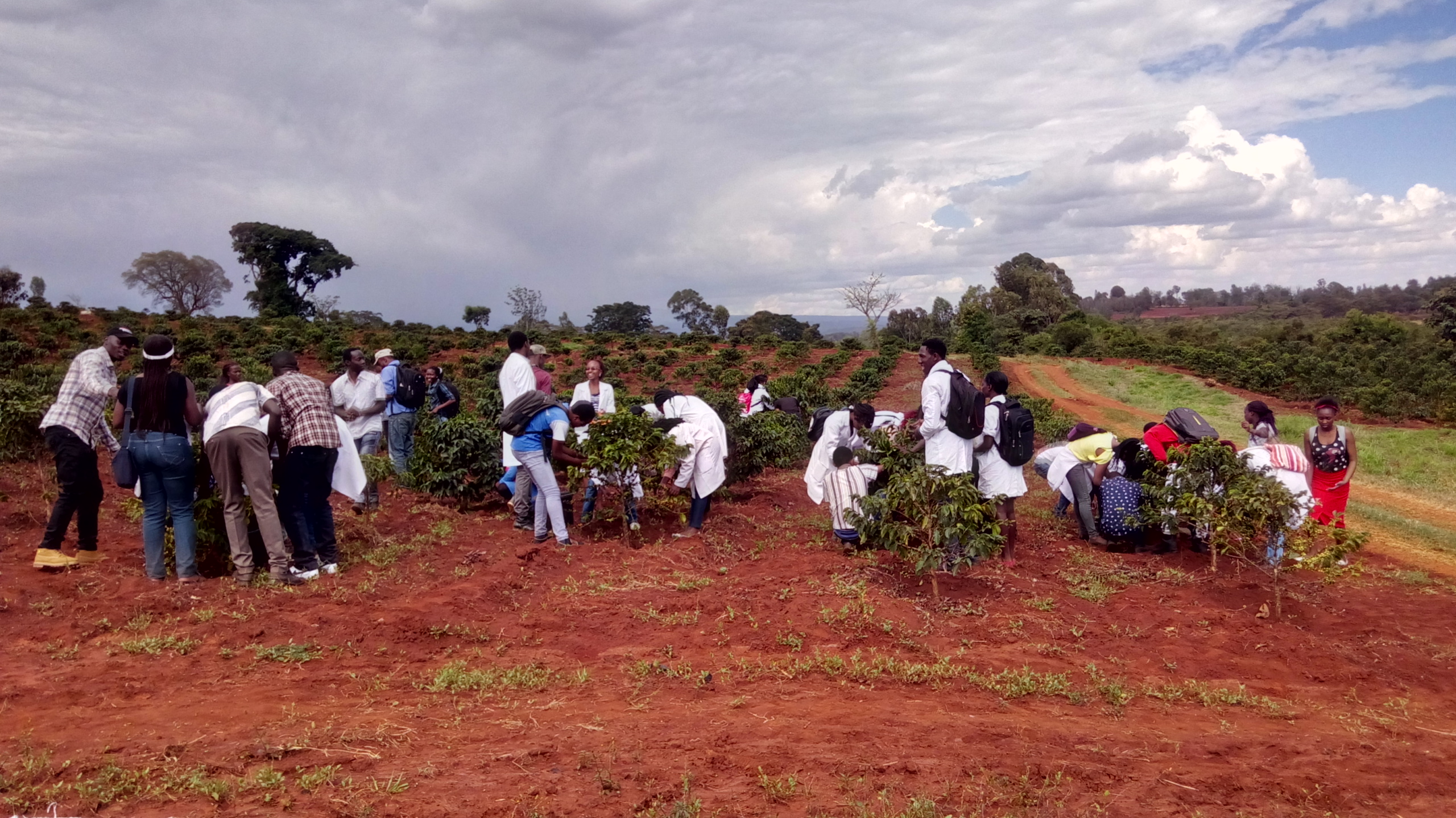 Coffee Traceability for Small-Holder Coffee Produce