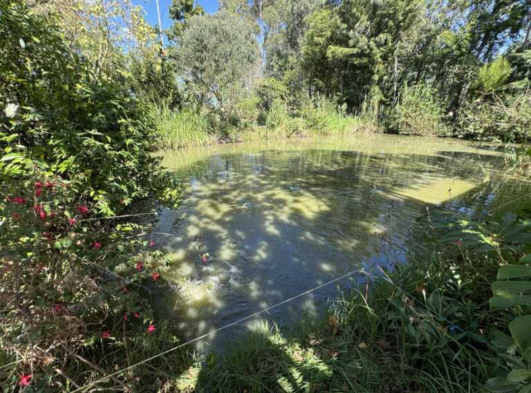 🇰🇪 Develop + deploy IoT device to measure and subsequently enable control or intervention of pond water parameters